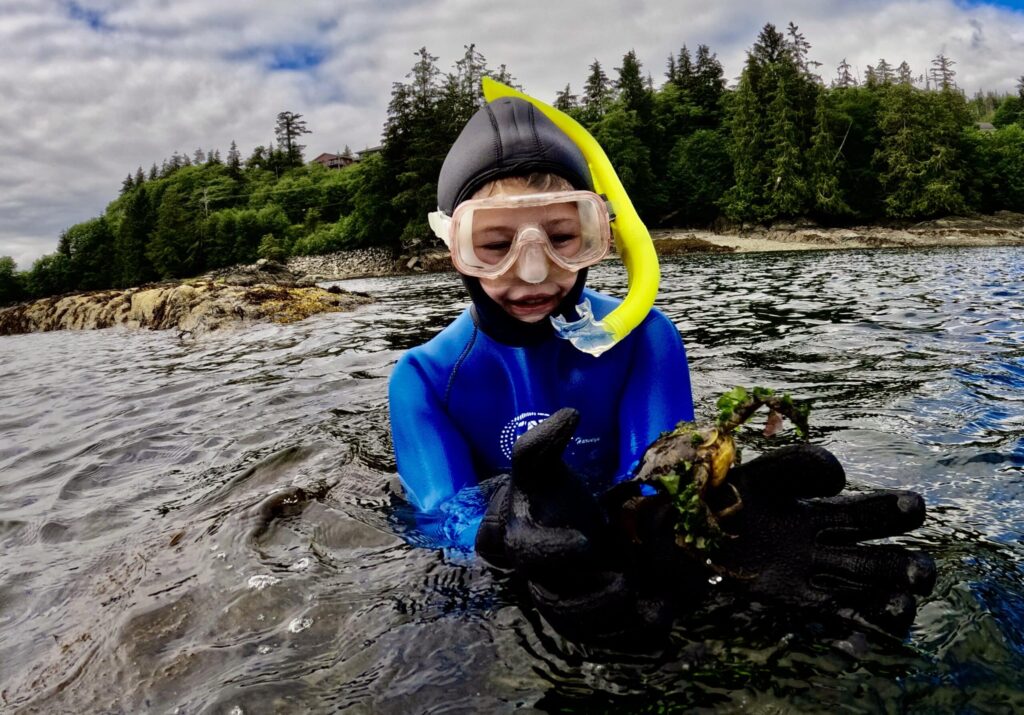 Snorkler in Ketchikan Alaska during 2022 season
