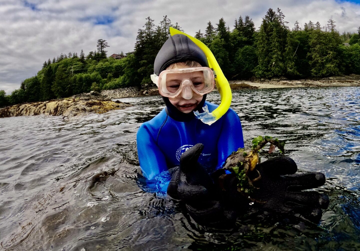 Snorkeling Tours in Ketchikan Alaska Snorkel Alaska