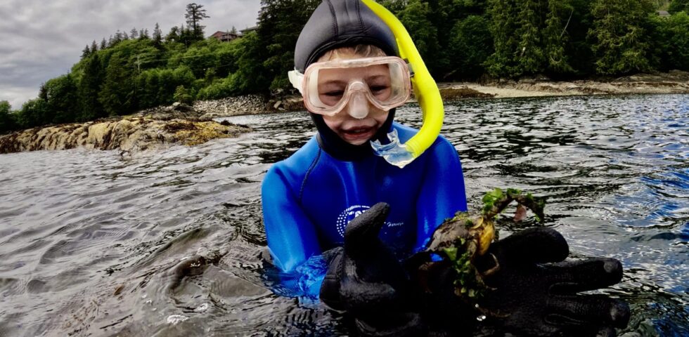 Snorkler in Ketchikan Alaska during 2022 season